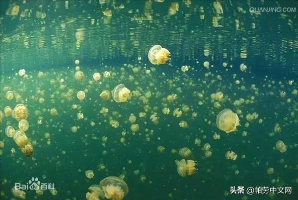 还没有被发现的岛屿,又挖到5个福建的小众绝美海岛