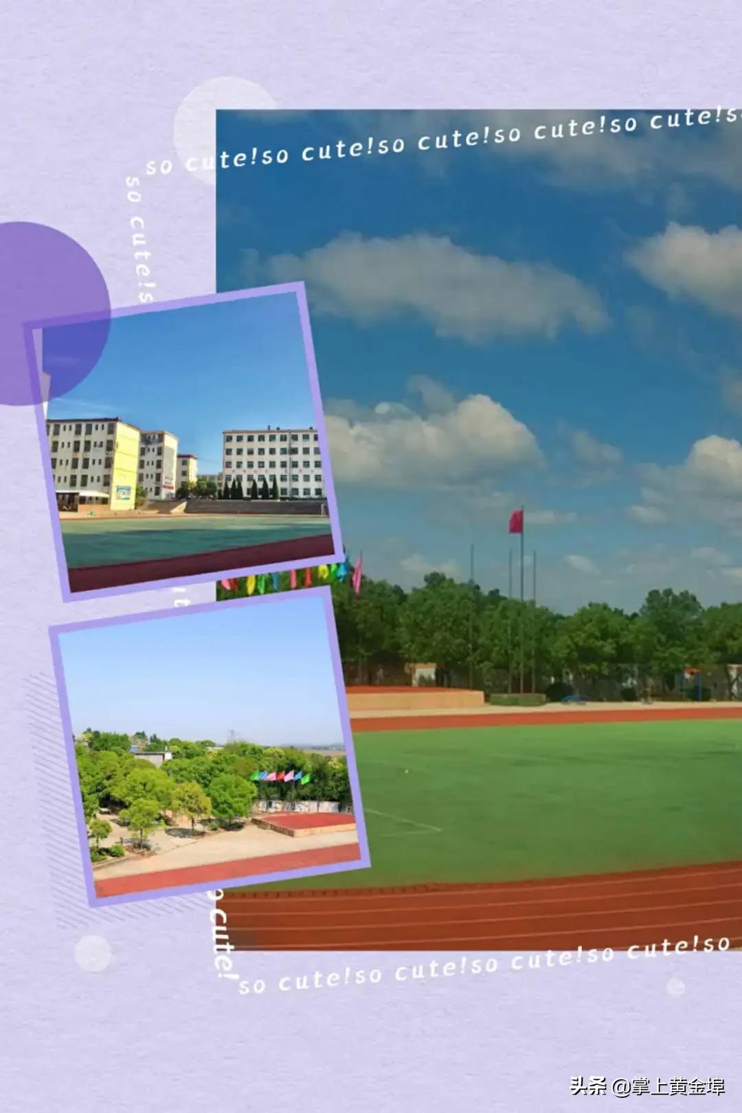 黄金埠有望改名的大学,梅港黄金埠学校