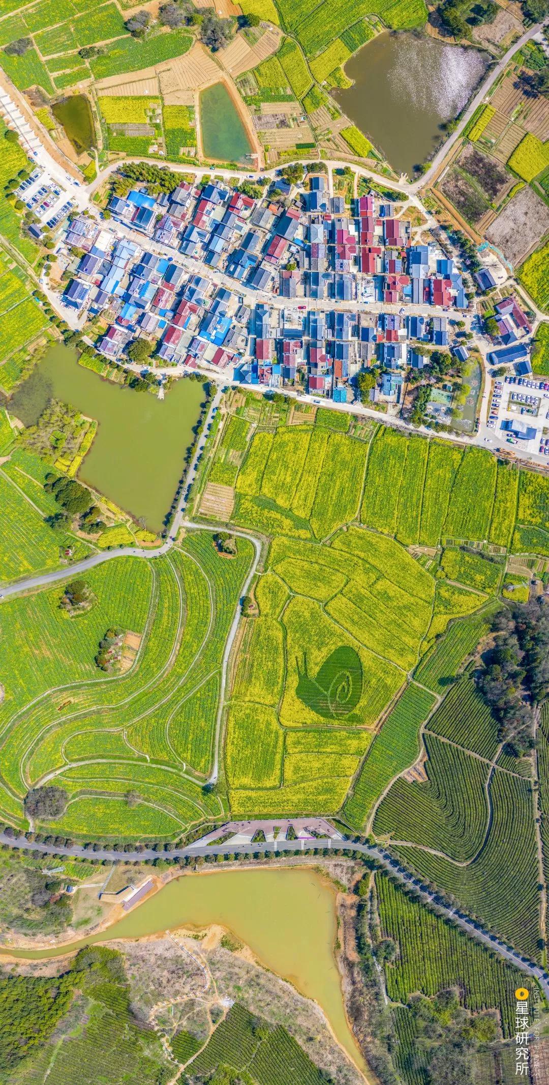 南京高淳哪个区发展最好,南京高淳值得去的风景区免费