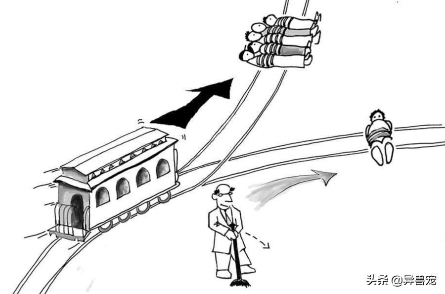 当宠物生病治疗费用太高,宠物生病治疗费有多昂贵