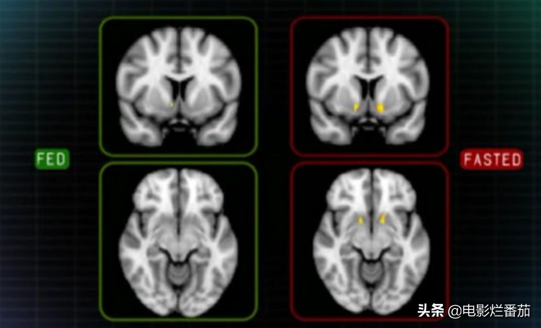 bbc发现新大陆纪录片,bbc纪录片宇宙的奇迹内容