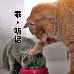 脸上有各种色斑怎么办,脸上有色斑怎么办要怎么去除