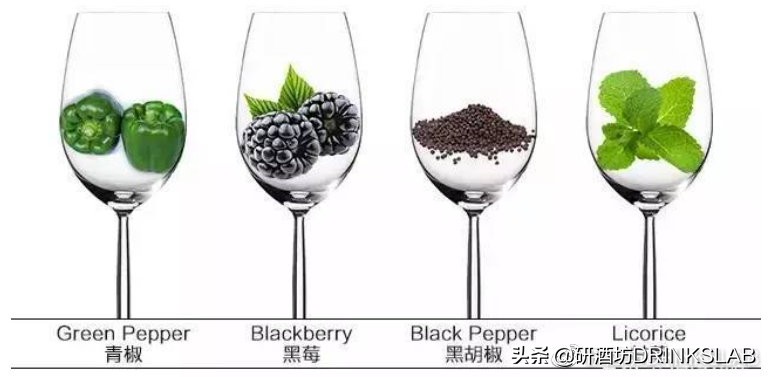 看红酒标签怎么区别红酒好坏,看红酒瓶怎么区别红酒好坏