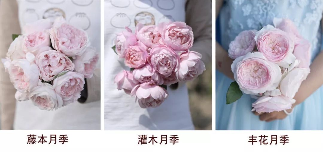 按头安利！5块钱淘宝好物，解决最难搞的收纳问题