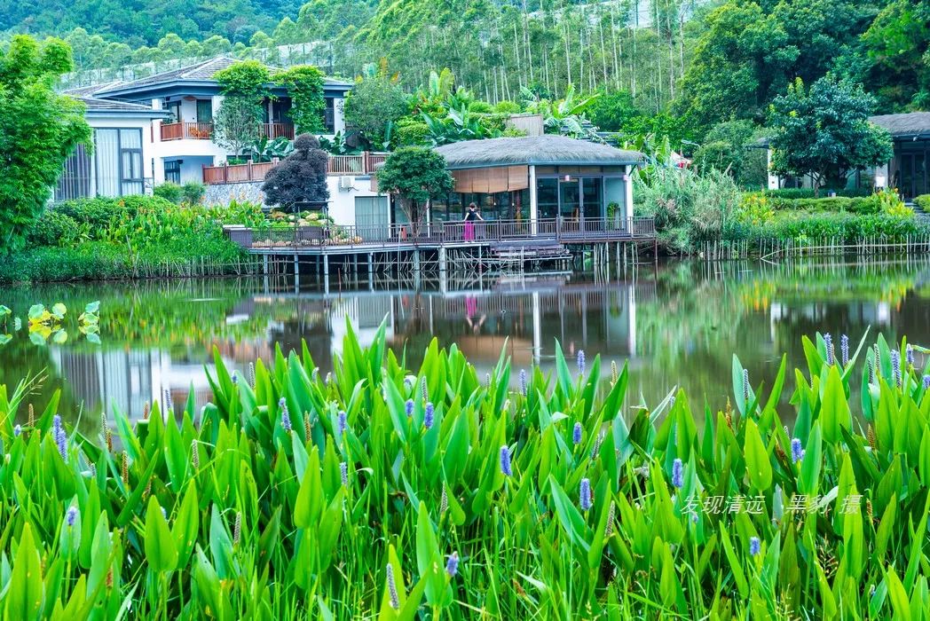 清远止林温泉民宿多少钱一晚,清远独立温泉民宿度假村排名榜