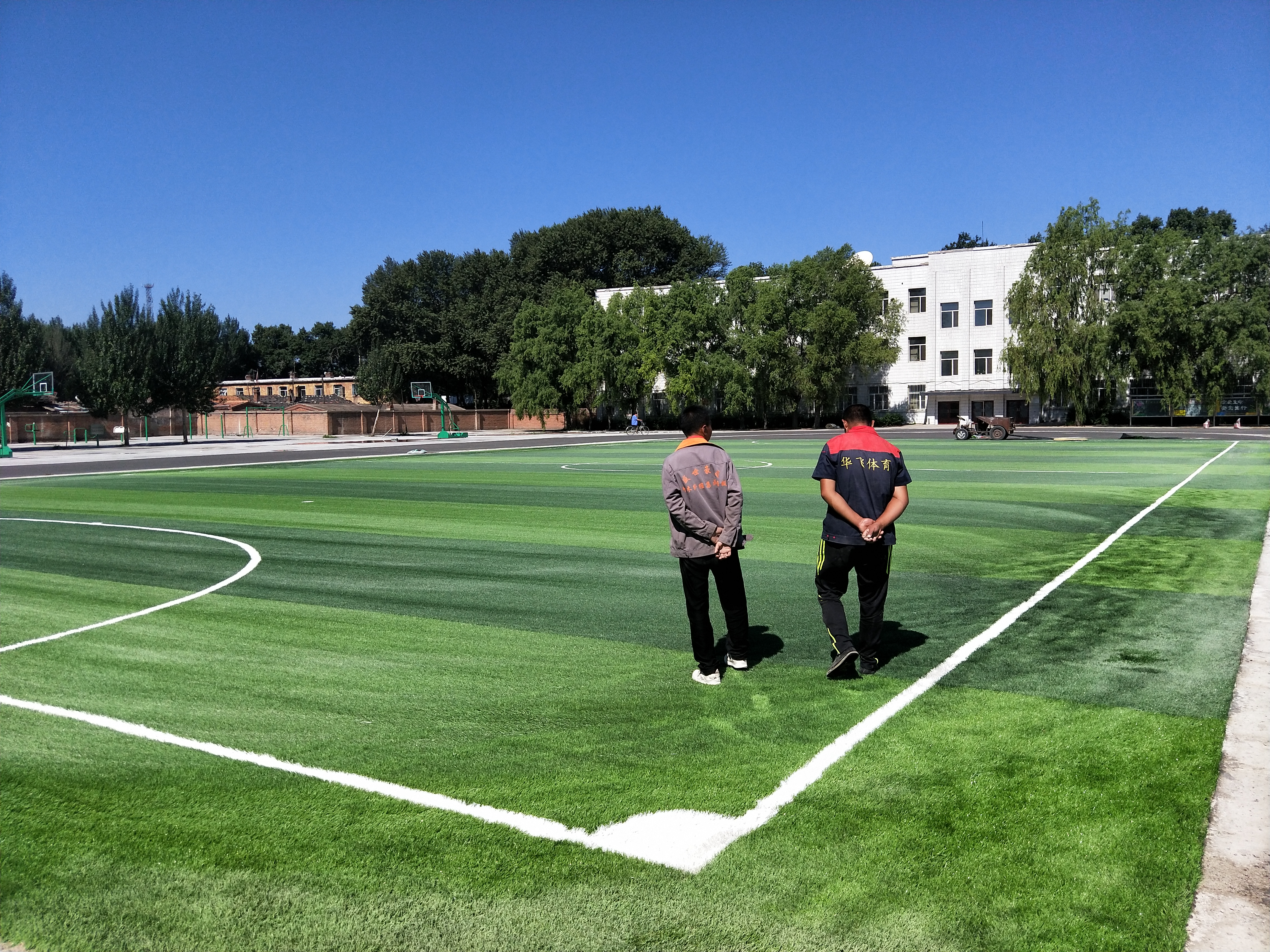 人造草坪哪种材质好,人造草坪用什么牌子胶