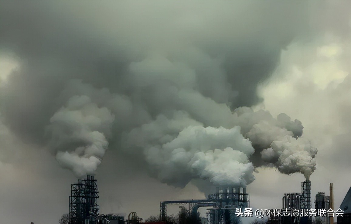 成都生态环保大讲堂|穿越于水陆之间的动物世界