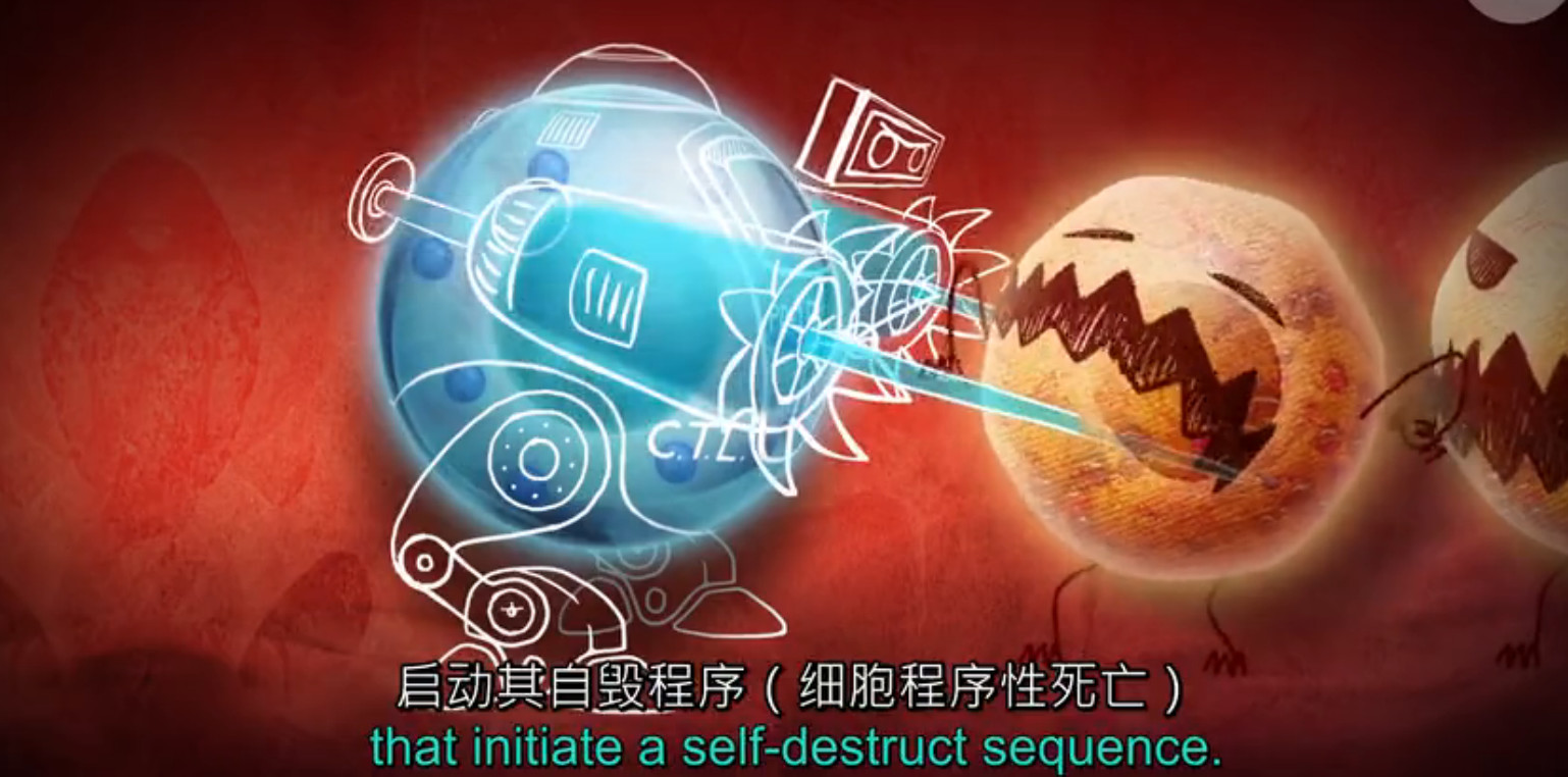 pd1肿瘤免疫治疗现状,什么是pd1免疫治疗费用