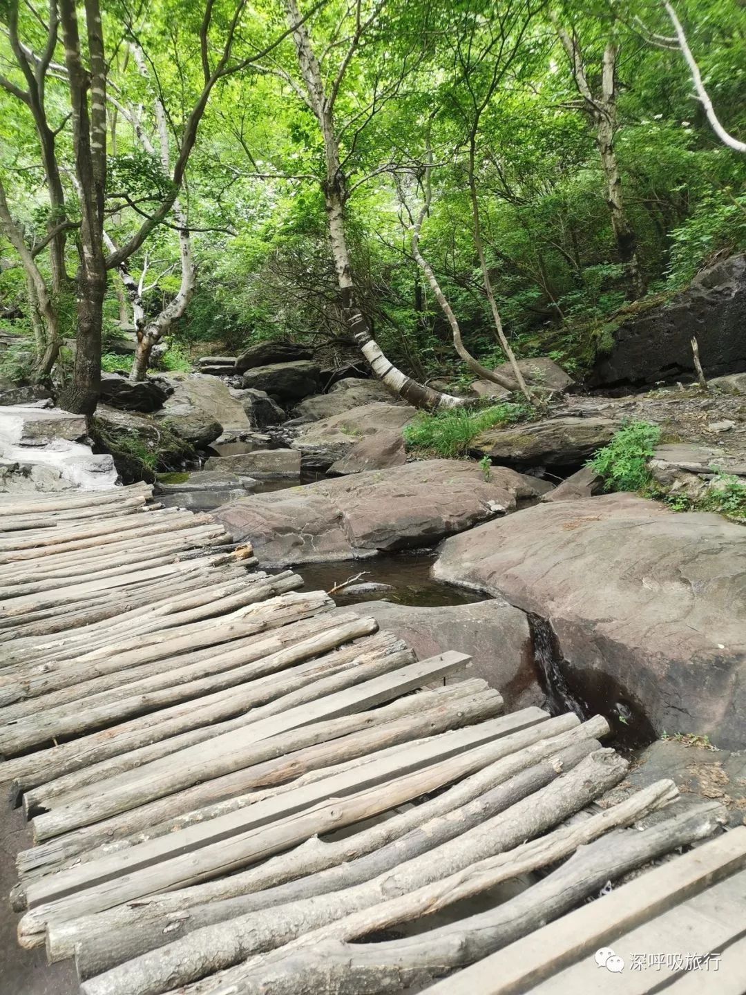 靖西双龙峡网红小火车,京西小九寨二日游