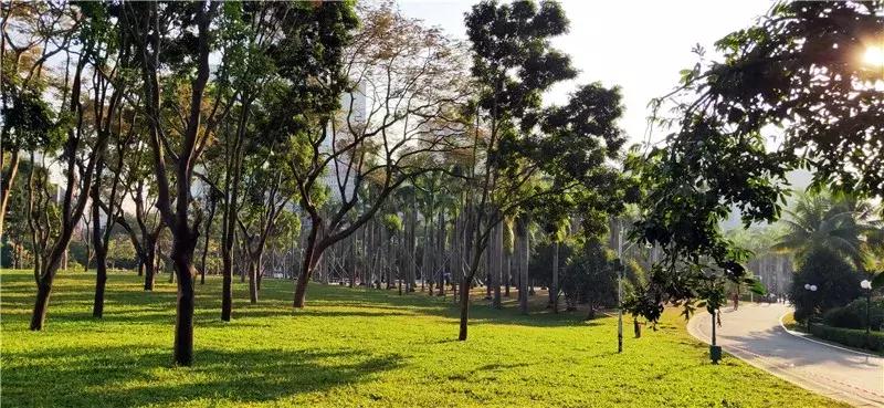 深圳莲花山看深圳风景,深圳莲花山有什么特别的地方