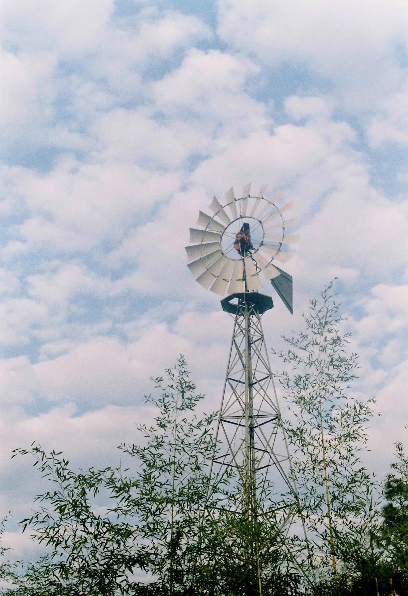 是谁发明了彩色相机,康泰时相机发展史