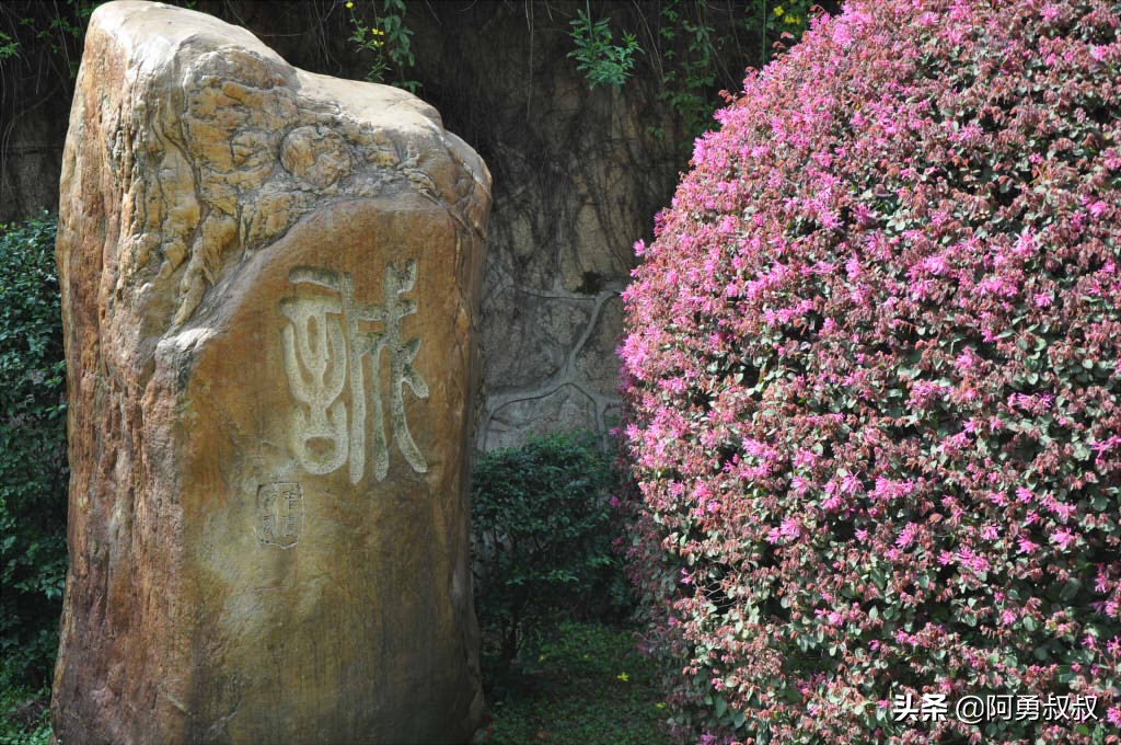 长沙市雅礼洋湖实验中学,长沙雅礼4大名校