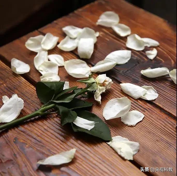 情深不寿？小心“七情”正在偷走你的健康