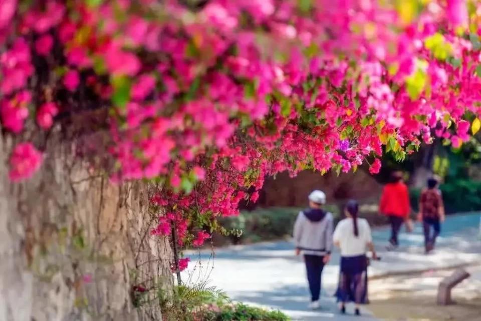 天津航母主题公园门票老人优惠吗,天津世界级主题公园