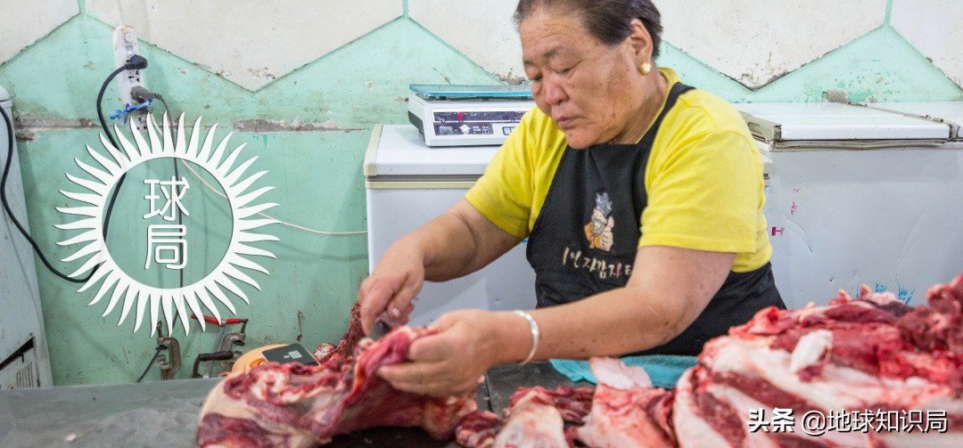 蒙古国农业潜力,蒙古国为什么适合发展畜牧业