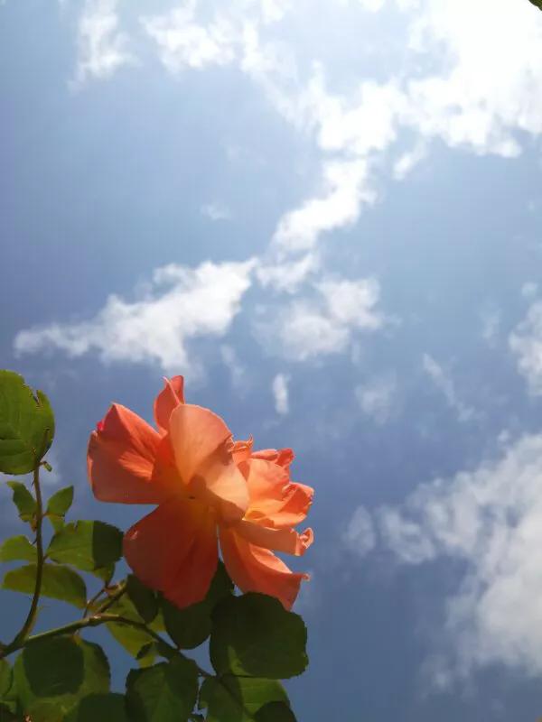 手拍世界,手拍世界作品专集