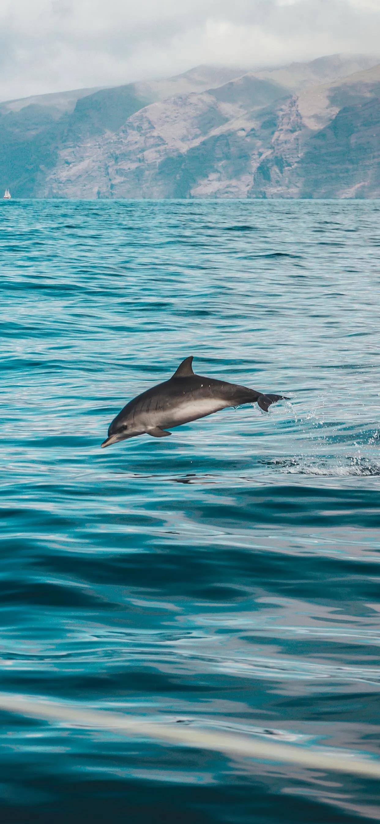 海洋壁纸2023,海洋系列壁纸