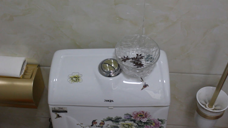 八角泡在白醋里怎么解决烦恼,八角泡白醋正确方法