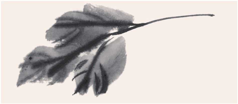 国画牡丹叶子的画法一窍不通,如何画牡丹花叶子和枝干国画视频