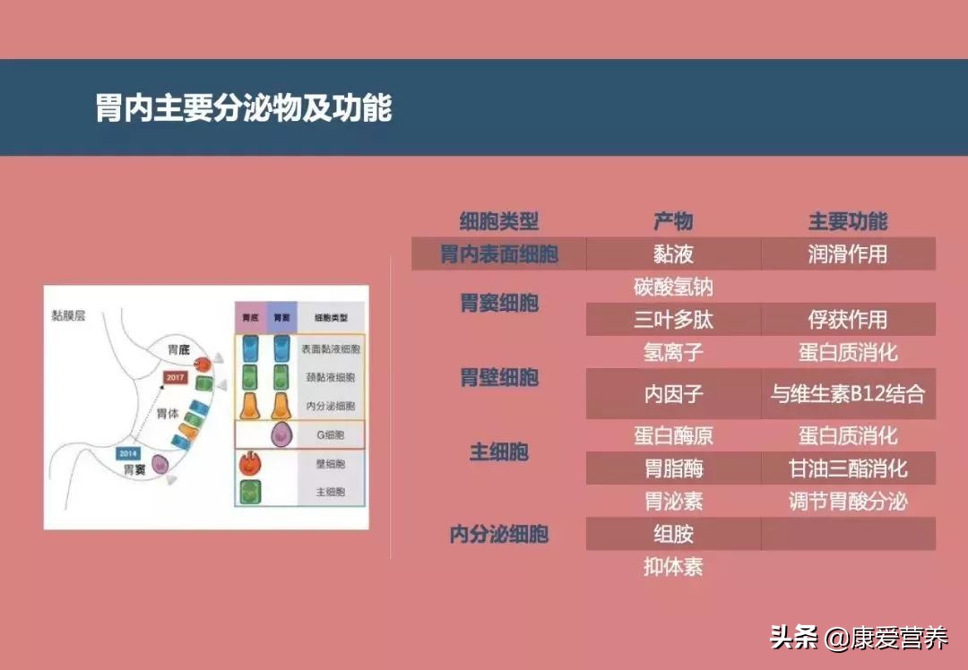 胃癌术后五大并发症区别,早期胃癌术后一年饮食哪些不能吃