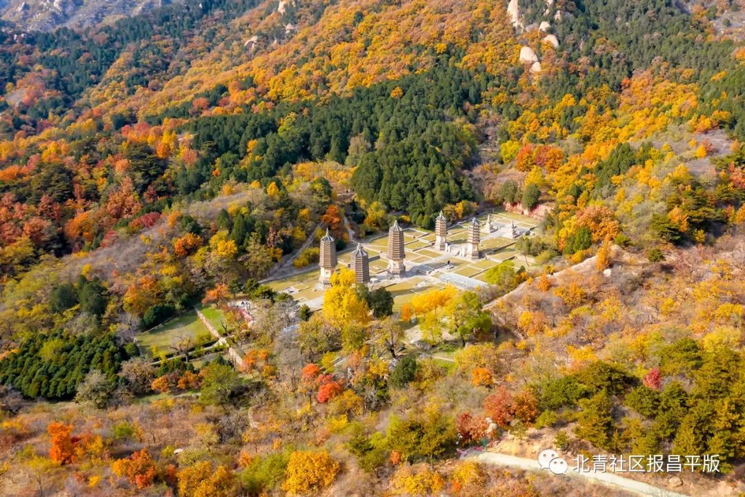 处暑将至暑渐消凉意至养生需讲究,处暑的节气特点处暑养生常识