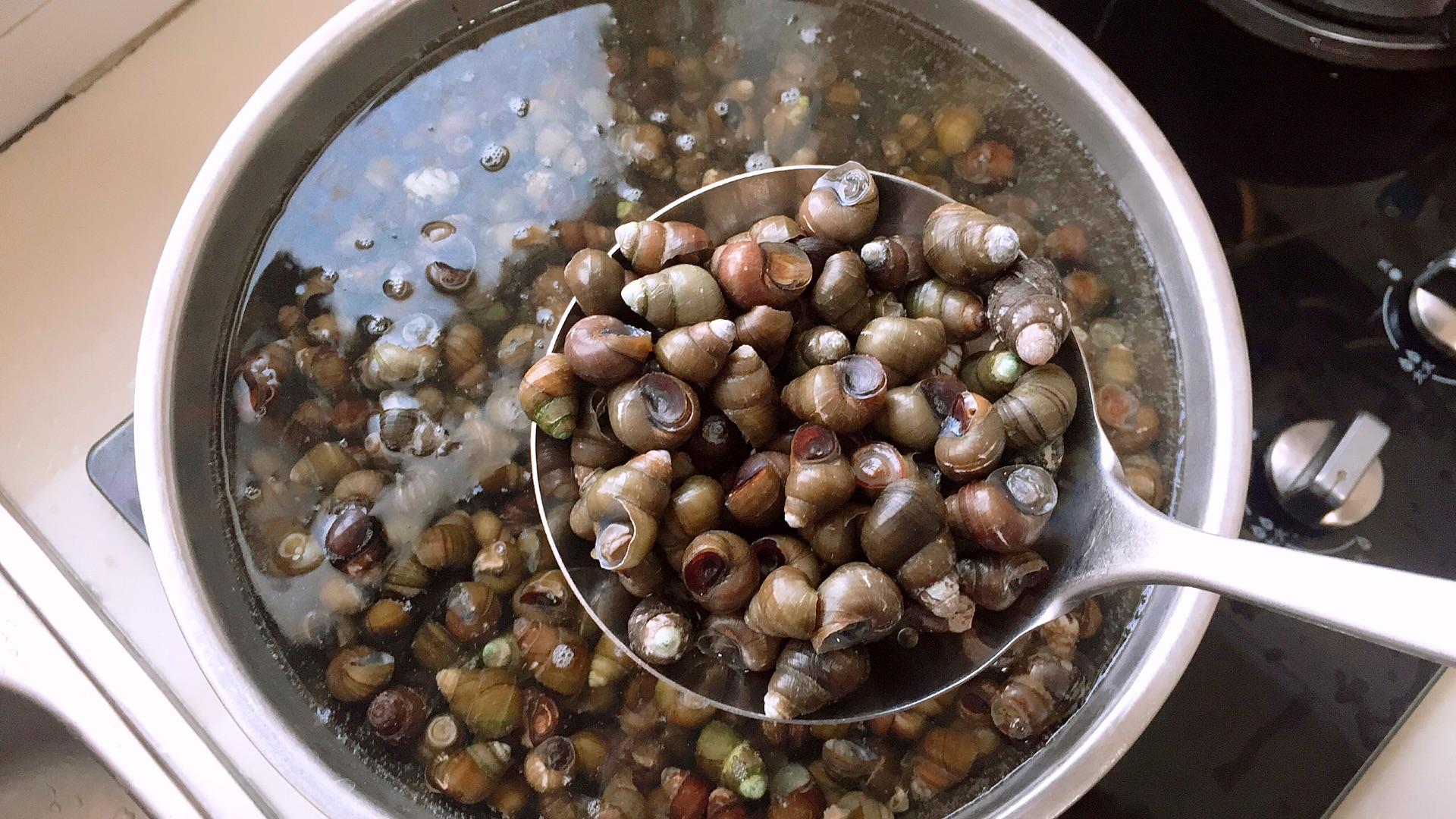 如何洗田螺里的小田螺,清洗田螺不能只放盐