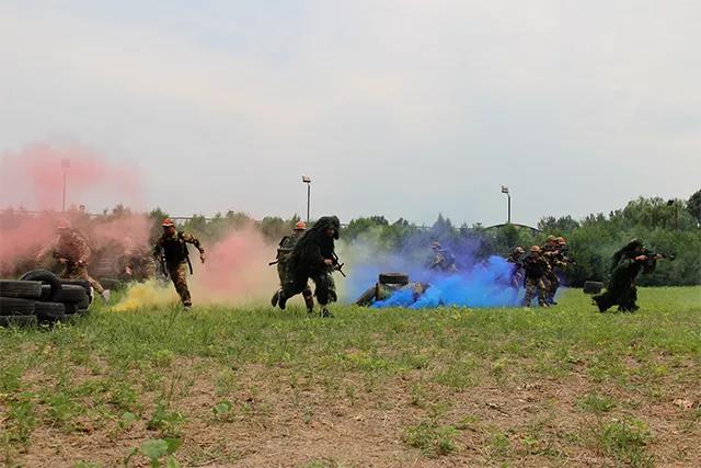 卓训教育是什么,卓训教育最新视频