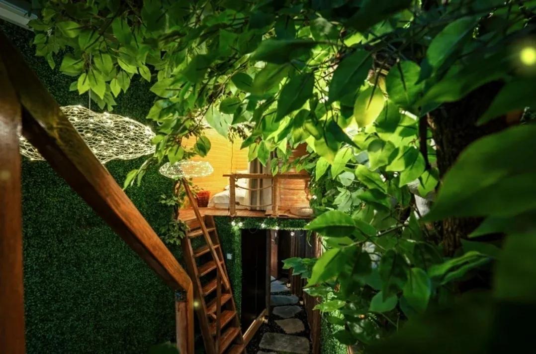 宫崎骏的童话森林,宫崎骏的森林什么意思