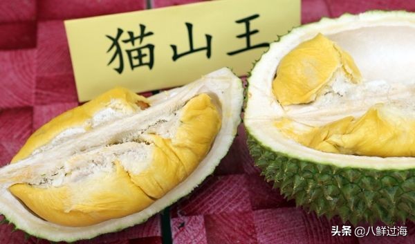 榴莲之王品种,榴莲无壳无核