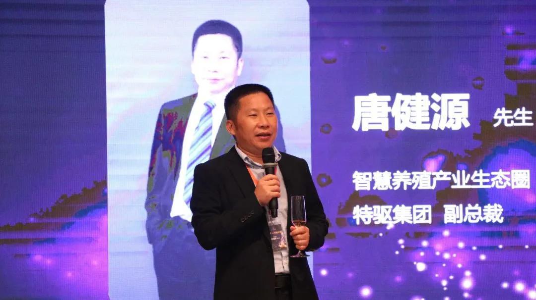 智慧养猪整体解决方案,养殖业养猪新技术