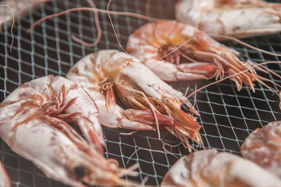 补肾健脾固精的海产品都有哪些呢,温肾固精的食物有哪几种