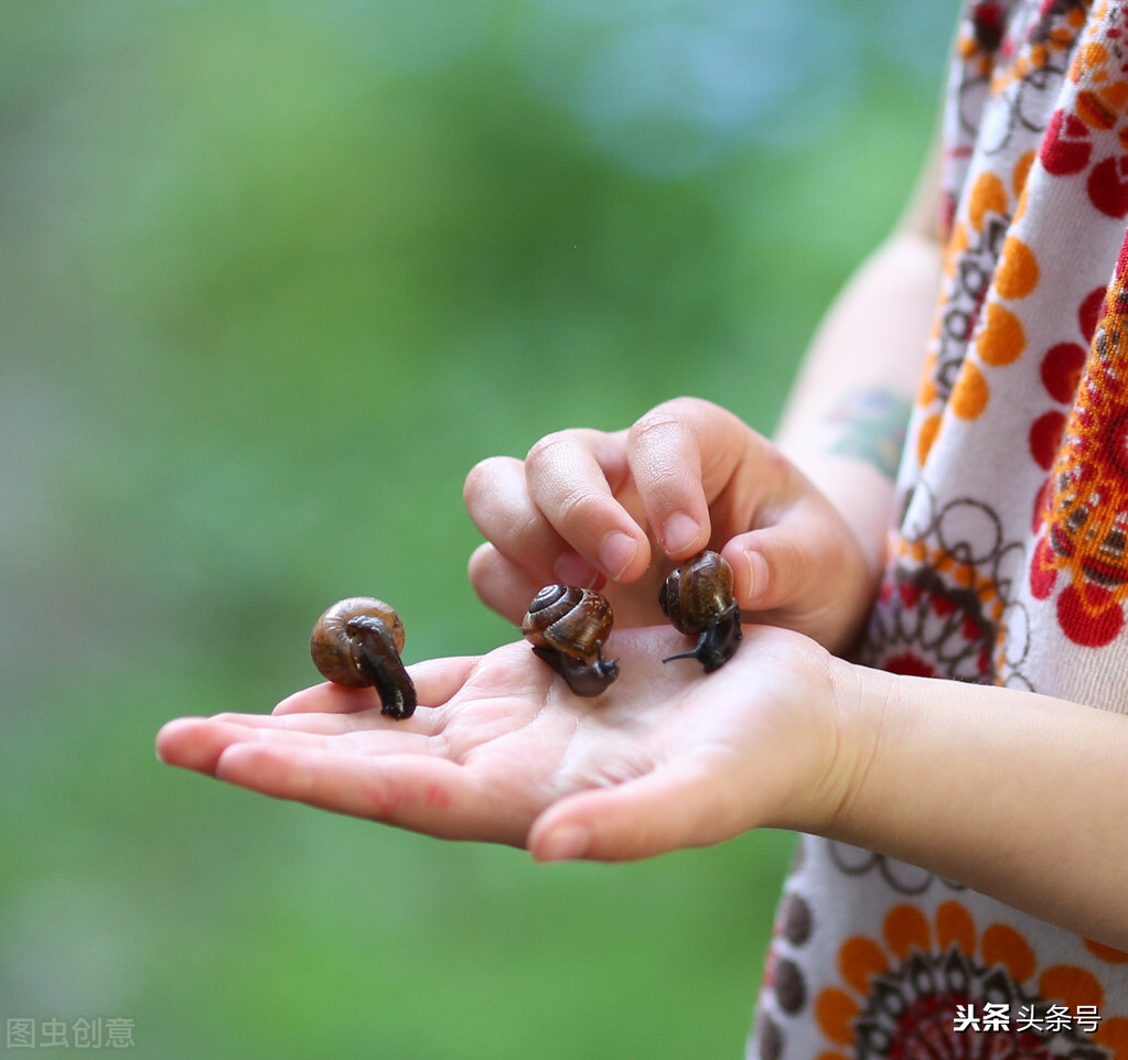 蜗牛的护肤品,所有蜗牛牌的护肤品