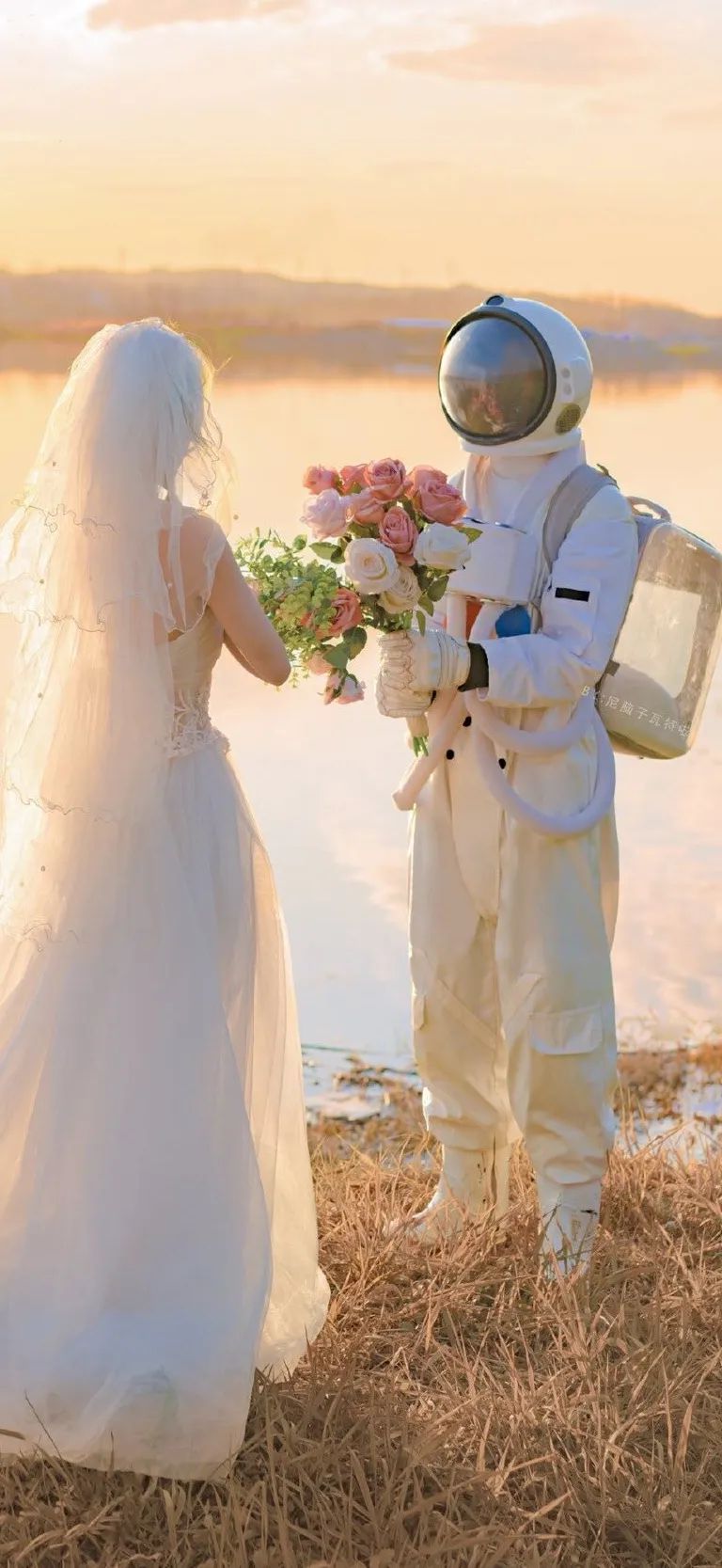 壁纸不要寄希望于别人多看自己,壁纸接受事与愿违