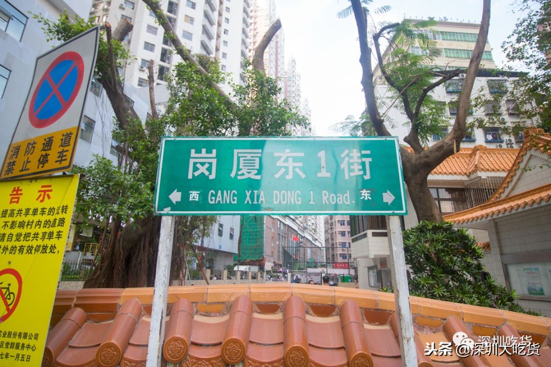 再见我们的摇滚时代完整版,再见了深圳岗厦