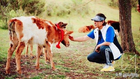 乐蜂网创始人李静合伙人程培洁,乐蜂网李静