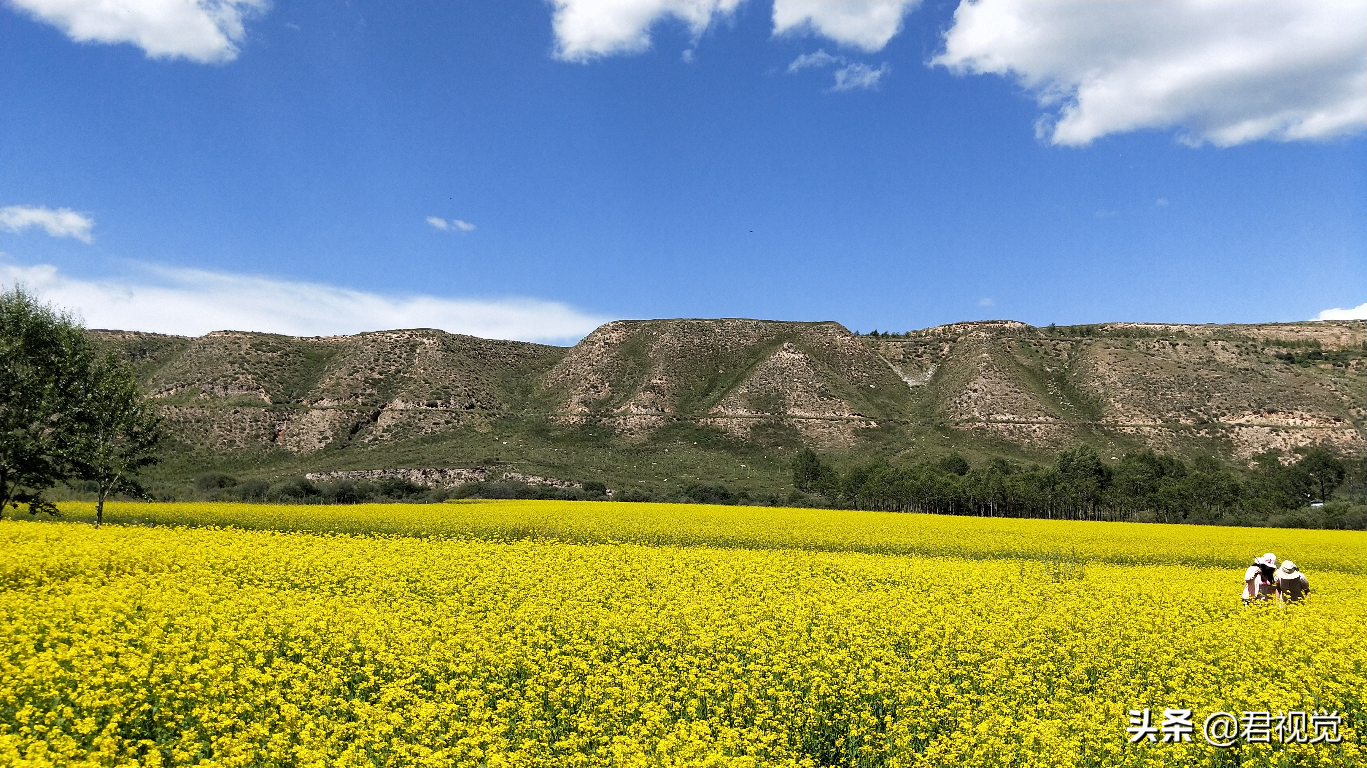 自驾游青海湖看星空地点,青海湖适合自驾游的时间