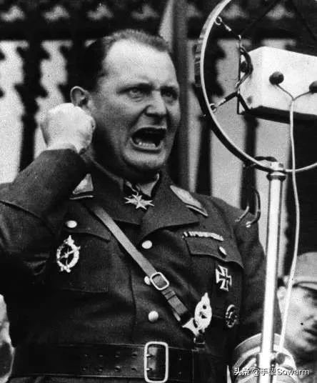 论对荷兰名画家维米尔的理解，只有这个敢骗希特勒的能排第一