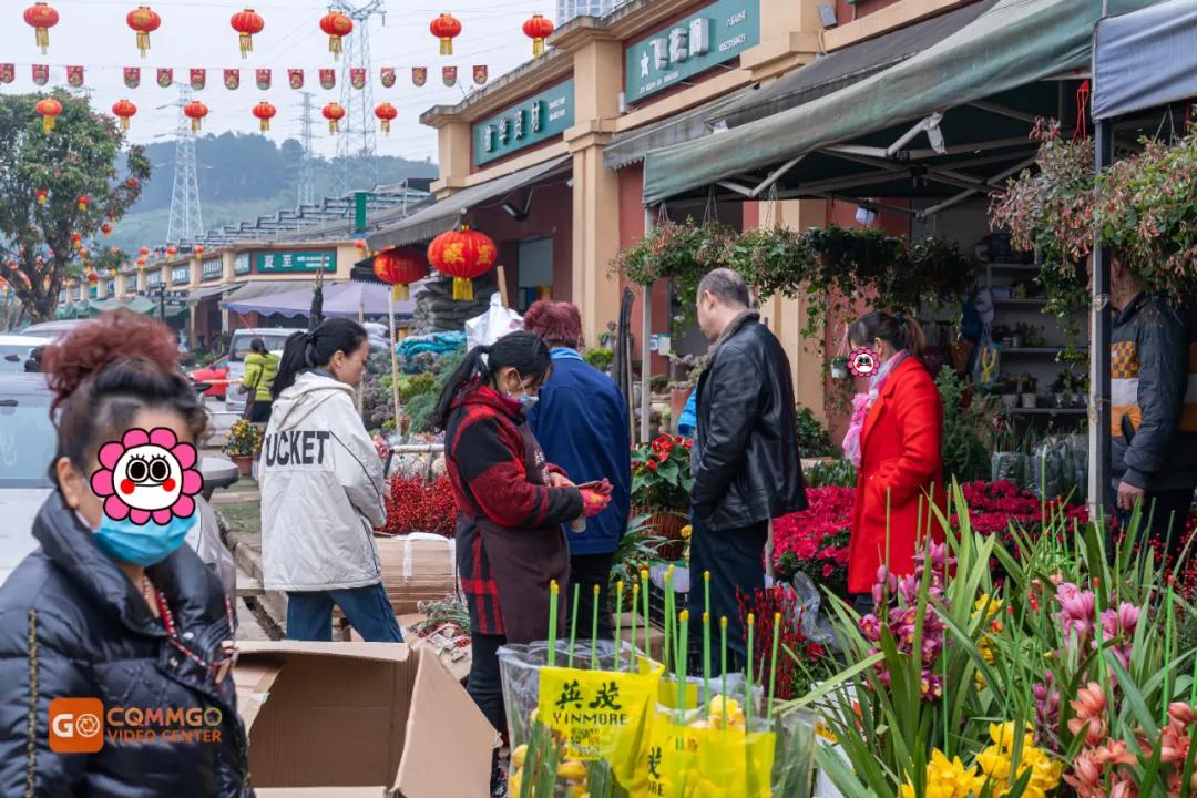 重庆最大的花市在哪里,重庆花市排名前十名