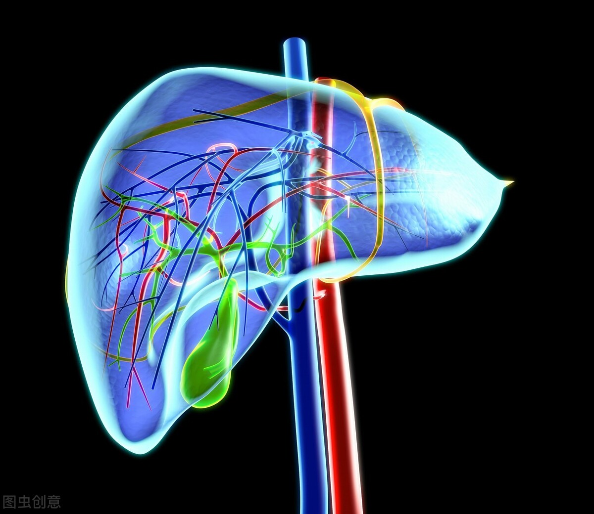 逍遥丸舒肝丸功效与作用,逍遥丸治肝气郁结有作用