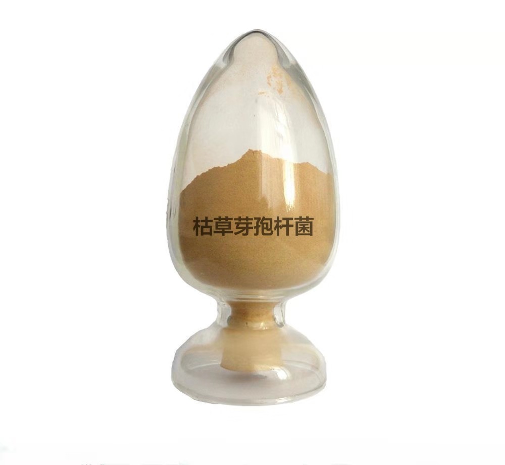 三分钟搞明白枯草芽孢杆菌的作用，“以菌治菌”防治土壤重茬病害