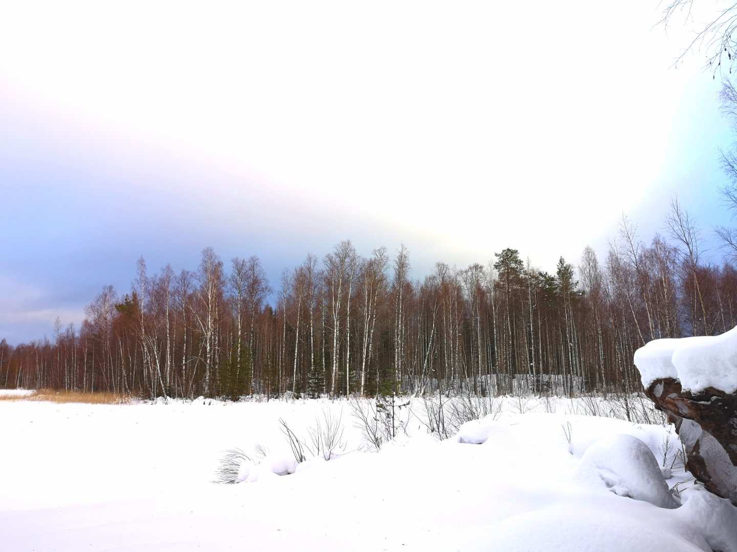 寒冬将至，2019冬季的魔力Taikatalvi-芬兰冬季文化营回顾