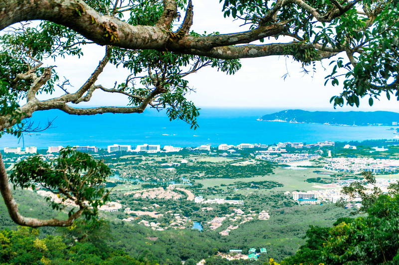 三亚万橡雨林生态园,三亚亚龙湾热带森林公园雨林飞跃
