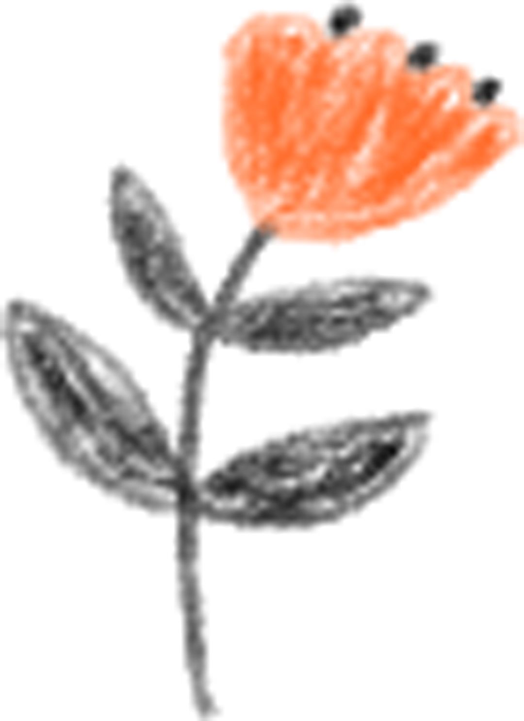 整治机动车洗车场工作方案,城管局开展洗车行业污染专项检查