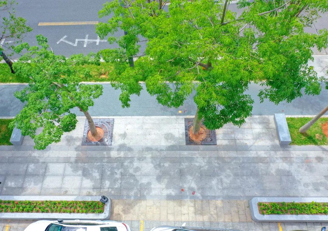 在深圳创业开店,在深圳创业做什么生意好