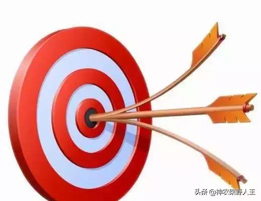 金立的复活之路,金立现在的状况