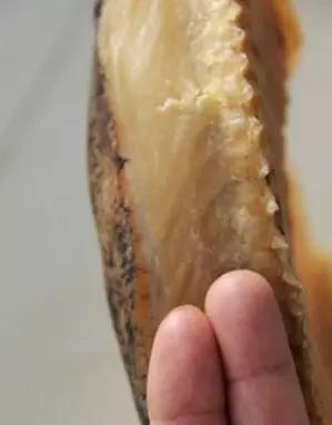 黑龙江五大名鱼,黑龙江最顶级的鱼