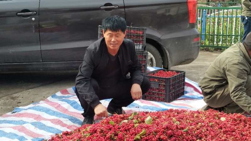 石虎沟村里的“多面虎”！