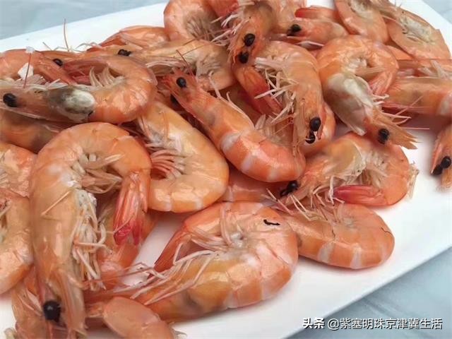 吴家台渔家民宿小院,海岛渔家客栈