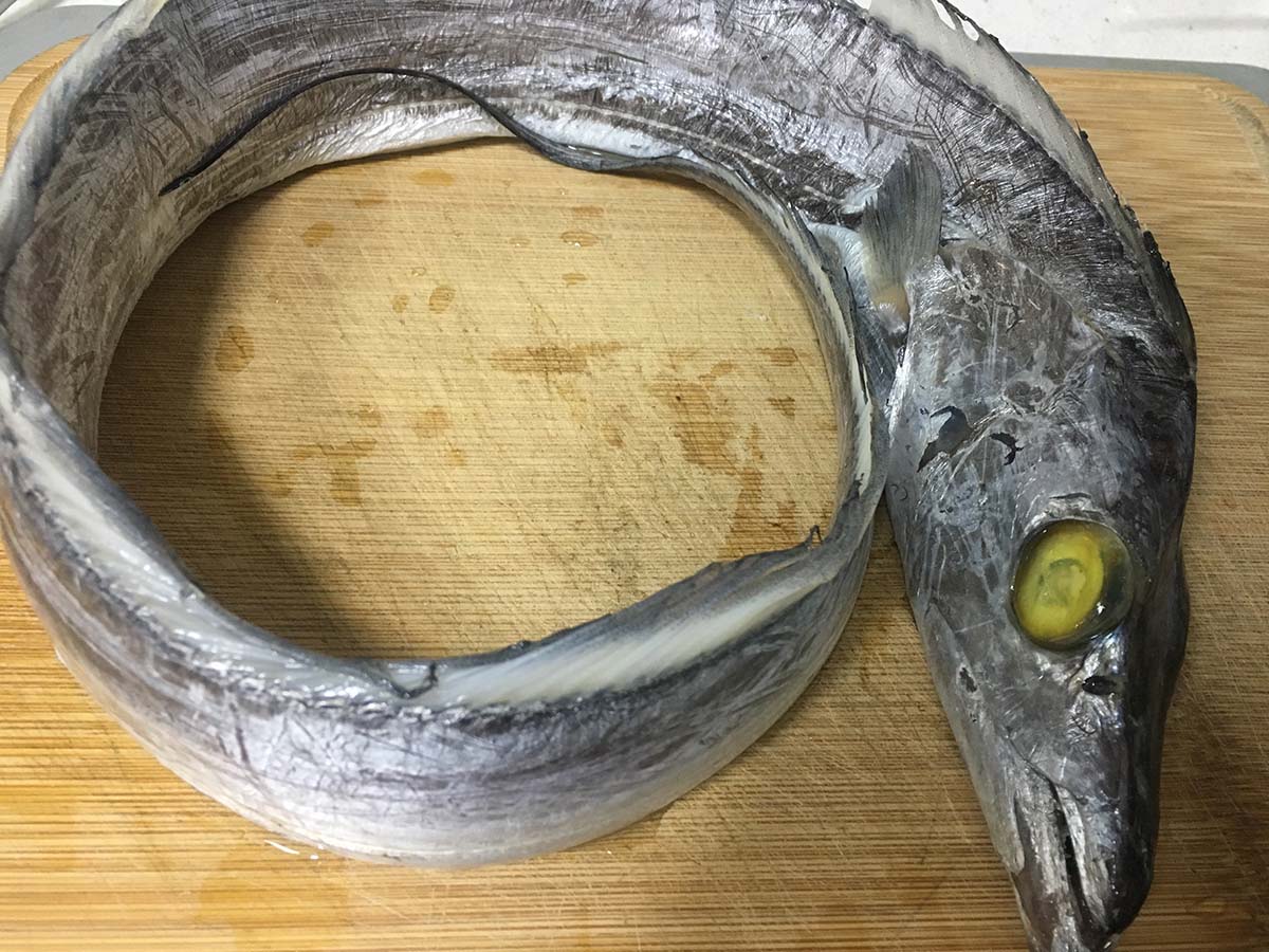 如何不带粉煎带鱼不粘锅又不烂,不用胡椒粉不要裹粉的带鱼怎么煎