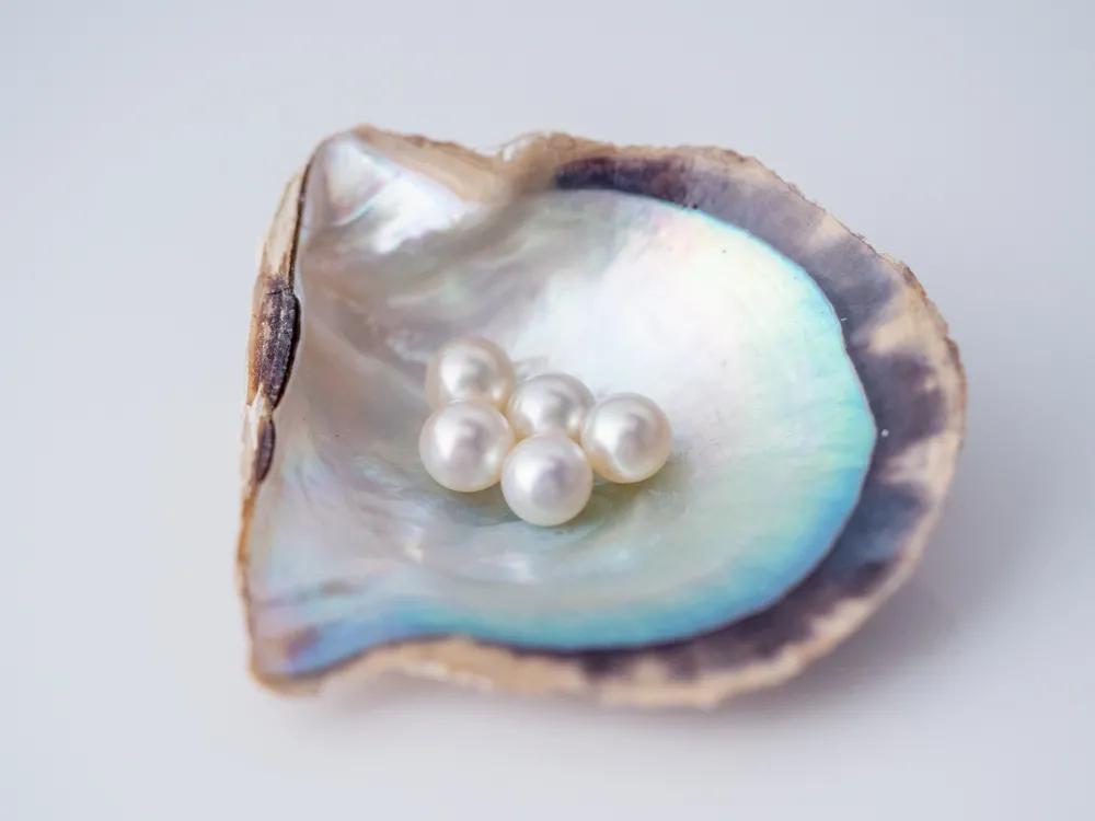 养肤持久不暗沉的气垫推荐,平价养肤不会致痘的气垫